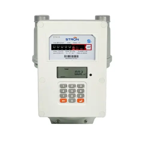 STG16 — Prepaid Gas Meter
